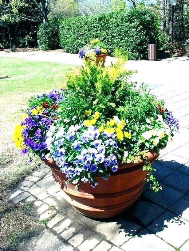 ideas-for-planting-large-flower-pots-41_3 Идеи за засаждане на големи саксии за цветя