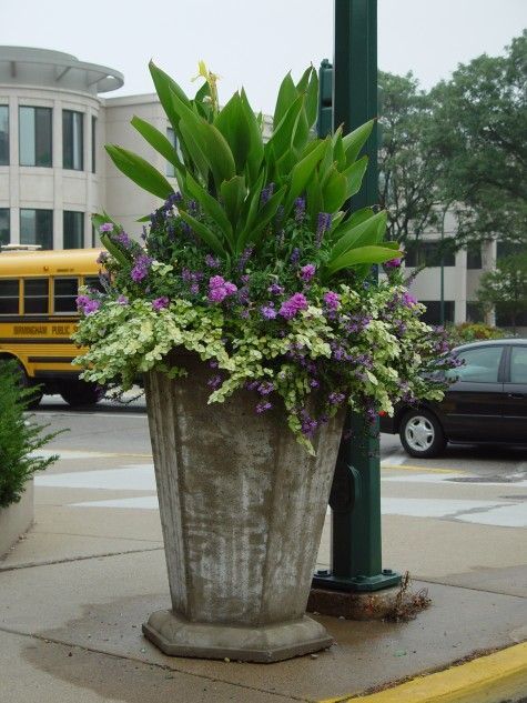 ideas-for-planting-large-flower-pots-41_4 Идеи за засаждане на големи саксии за цветя