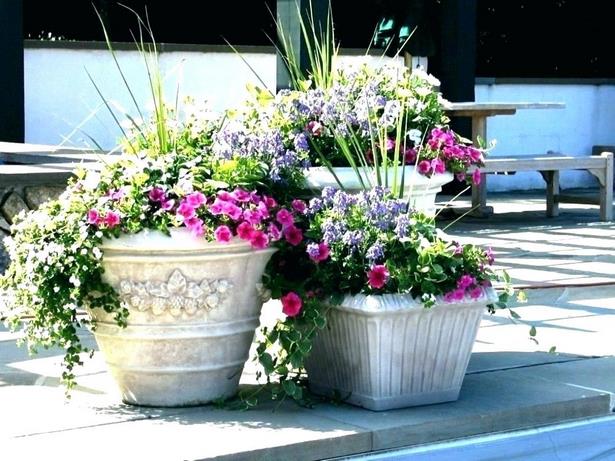ideas-for-potted-plants-on-patio-56_10 Идеи за саксийни растения на вътрешен двор