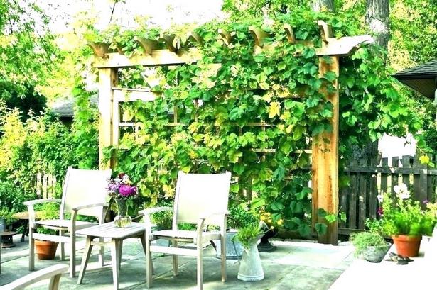 ideas-for-potted-plants-on-patio-56_8 Идеи за саксийни растения на вътрешен двор