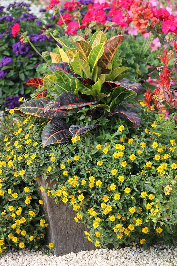 ideas-for-potting-plants-outdoors-41_14 Идеи за саксийни растения на открито