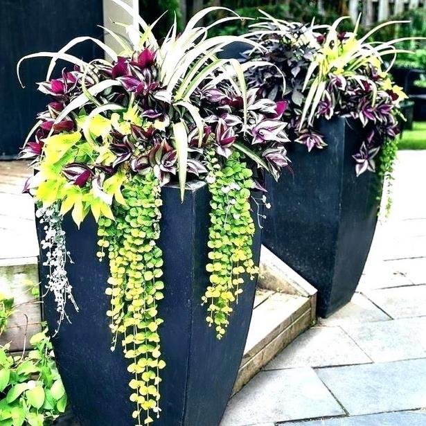 ideas-for-potting-plants-outdoors-41_15 Идеи за саксийни растения на открито
