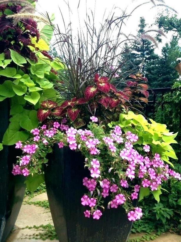 ideas-for-potting-plants-outdoors-41_3 Идеи за саксийни растения на открито