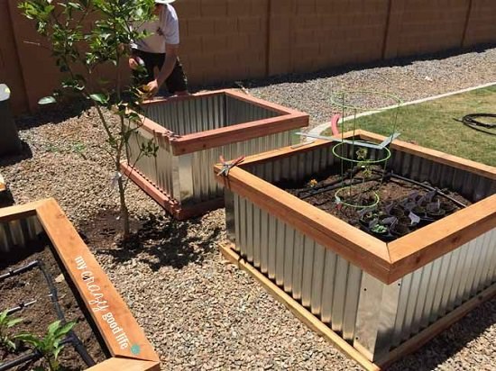 ideas-for-raised-garden-boxes-67_11 Идеи за повдигнати градински кутии