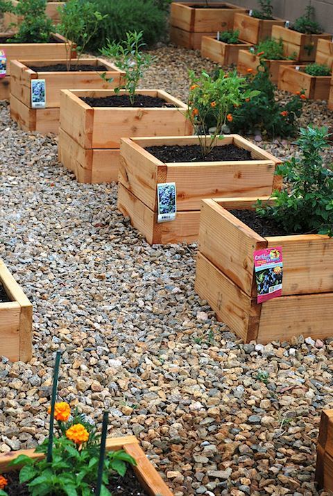 ideas-for-raised-garden-boxes-67_15 Идеи за повдигнати градински кутии