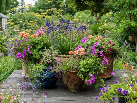 ideas-for-summer-garden-pots-82_10 Идеи за саксии за лятна градина