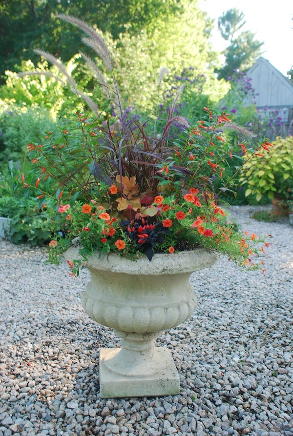 ideas-for-summer-garden-pots-82_14 Идеи за саксии за лятна градина