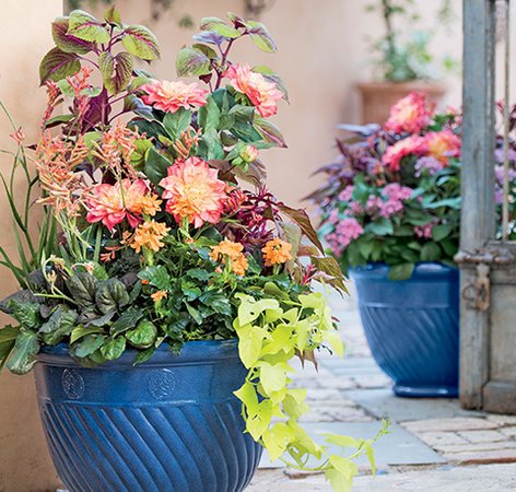 ideas-for-summer-garden-pots-82_2 Идеи за саксии за лятна градина