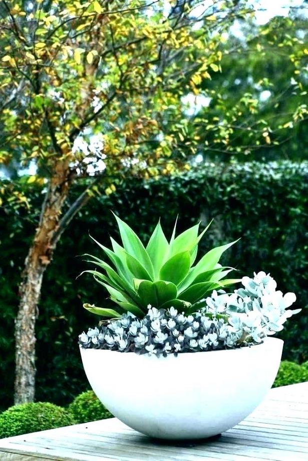 ideas-plant-pots-84_18 Идеи саксии за растения