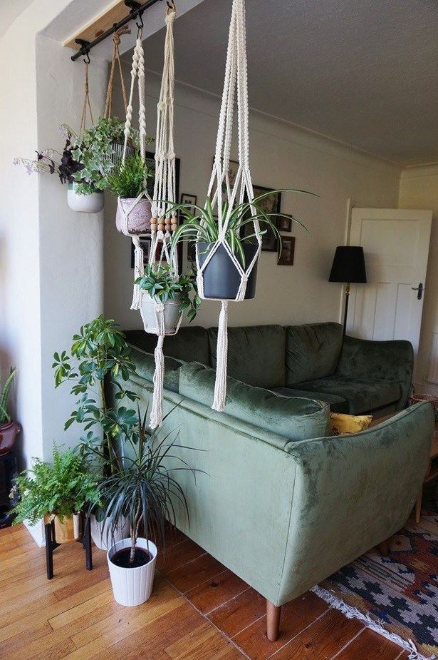 indoor-plant-ideas-77_13 Идеи за стайни растения