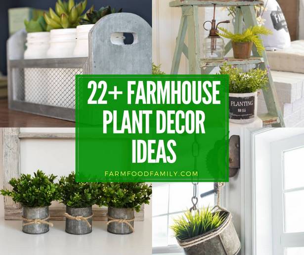 indoor-plant-ideas-77_15 Идеи за стайни растения