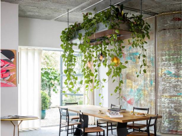 indoor-plant-ideas-77_5 Идеи за стайни растения