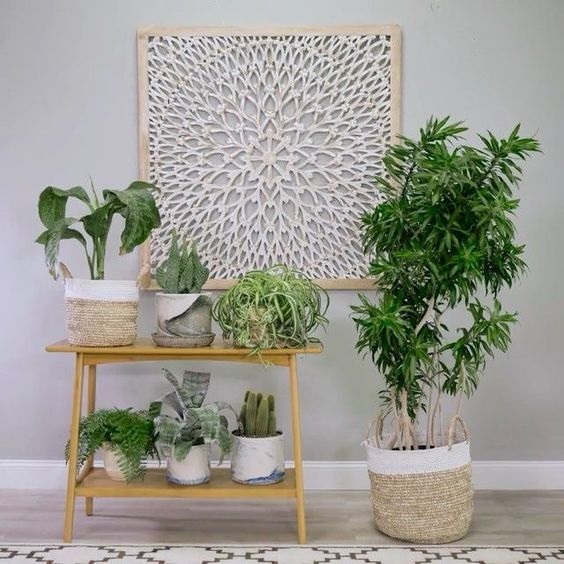 indoor-plant-ideas-77_6 Идеи за стайни растения