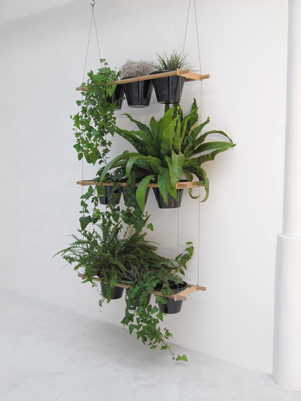 indoor-plant-ideas-77_7 Идеи за стайни растения
