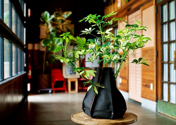 indoor-plant-pot-ideas-75_13 Интериорни идеи за саксии