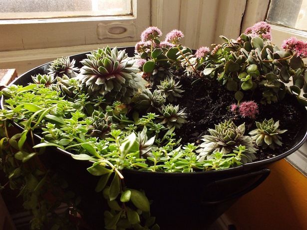 indoor-plant-pot-ideas-75_17 Интериорни идеи за саксии