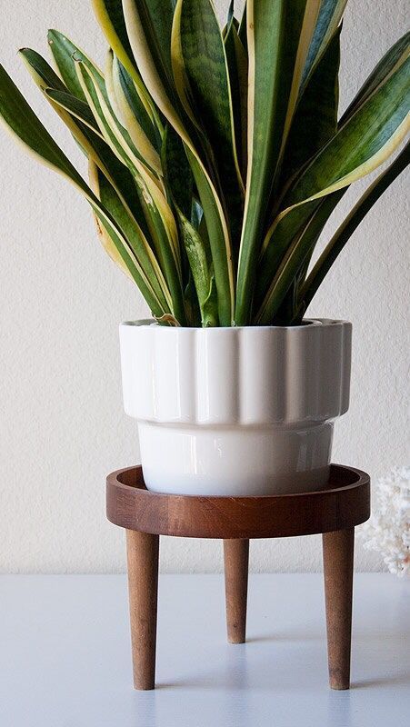 indoor-plant-pot-ideas-75_3 Интериорни идеи за саксии