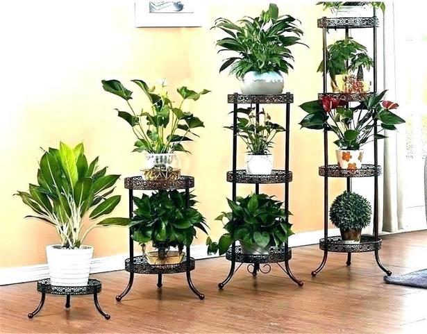 indoor-plant-pot-ideas-75_8 Интериорни идеи за саксии