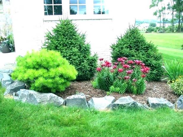 landscaping-for-small-front-yards-pictures-77_17 Озеленяване за малки предни дворове снимки