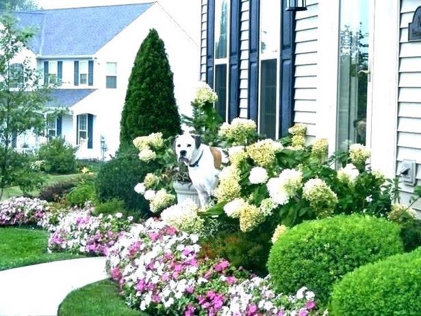 landscaping-for-small-front-yards-pictures-77_8 Озеленяване за малки предни дворове снимки