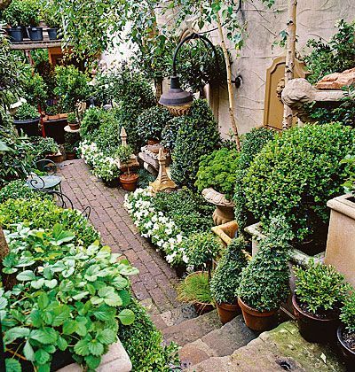 landscaping-ideas-with-potted-plants-79_3 Озеленяване идеи с саксийни растения