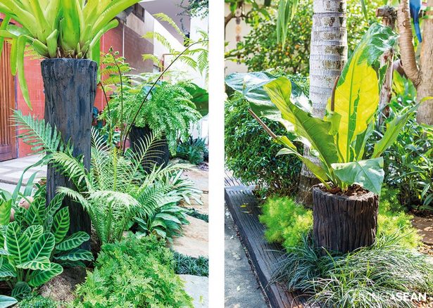 landscaping-ideas-with-potted-plants-79_7 Озеленяване идеи с саксийни растения