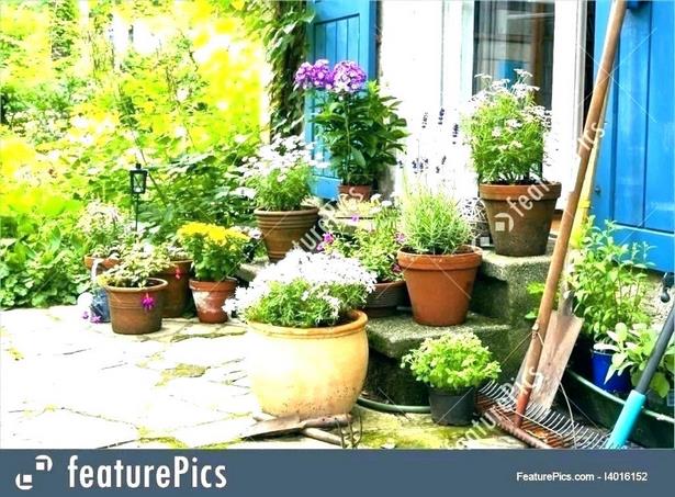 landscaping-pots-ideas-44_9 Идеи за озеленяване на саксии
