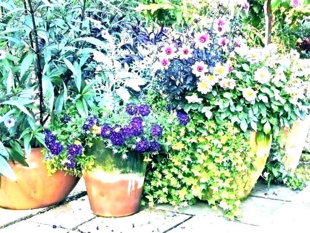 large-flower-pot-arrangement-ideas-74_3 Големи идеи за подреждане на саксии