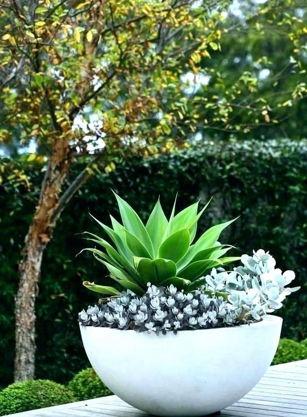 large-flower-pot-arrangement-ideas-74_6 Големи идеи за подреждане на саксии