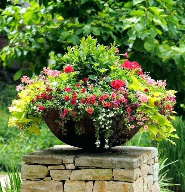 large-outdoor-flower-pot-arrangements-89_10 Големи външни саксии за цветя