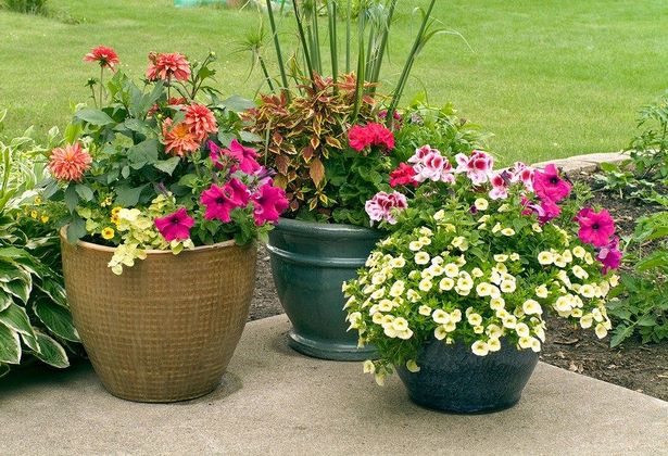 large-outdoor-flower-pot-arrangements-89_6 Големи външни саксии за цветя