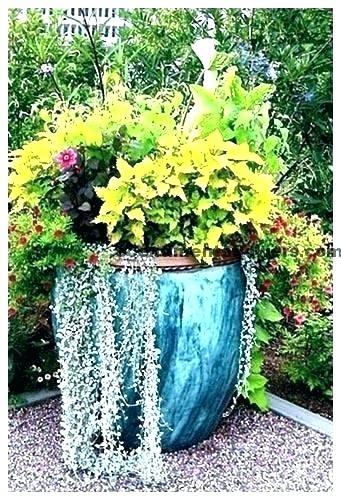 large-outdoor-flower-pot-arrangements-89_9 Големи външни саксии за цветя