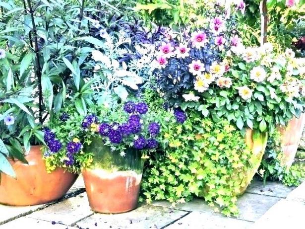 large-outdoor-flower-pot-ideas-81_14 Голям открит саксия идеи