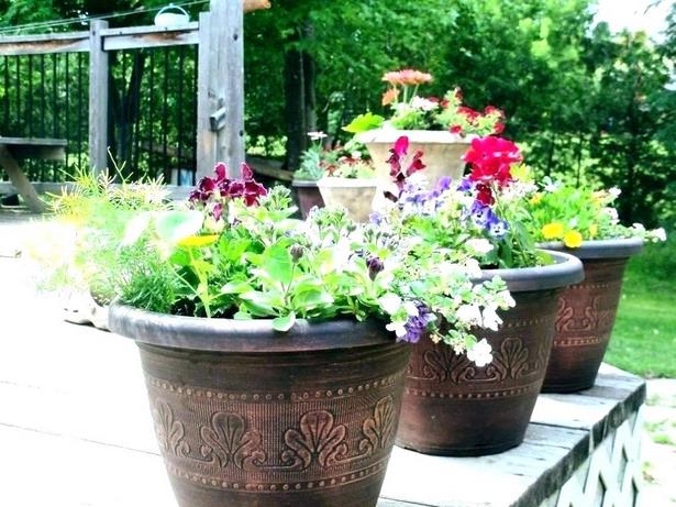 large-outdoor-flower-pot-ideas-81_15 Голям открит саксия идеи