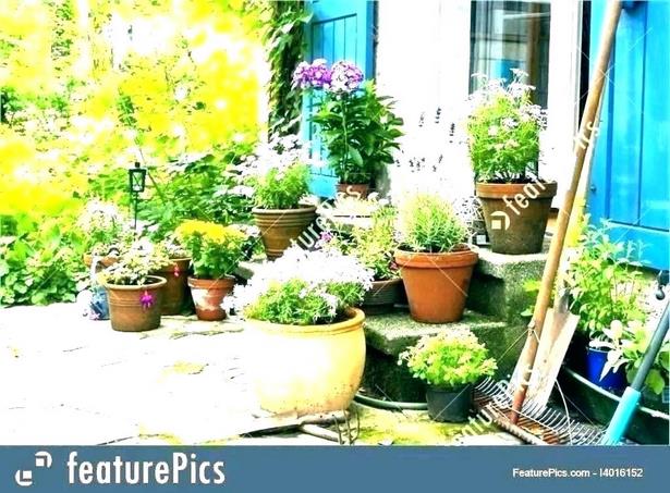 large-outdoor-flower-pot-ideas-81_9 Голям открит саксия идеи