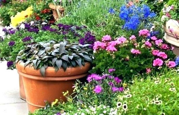 large-outdoor-planter-arrangements-59_11 Големи външни плантатори