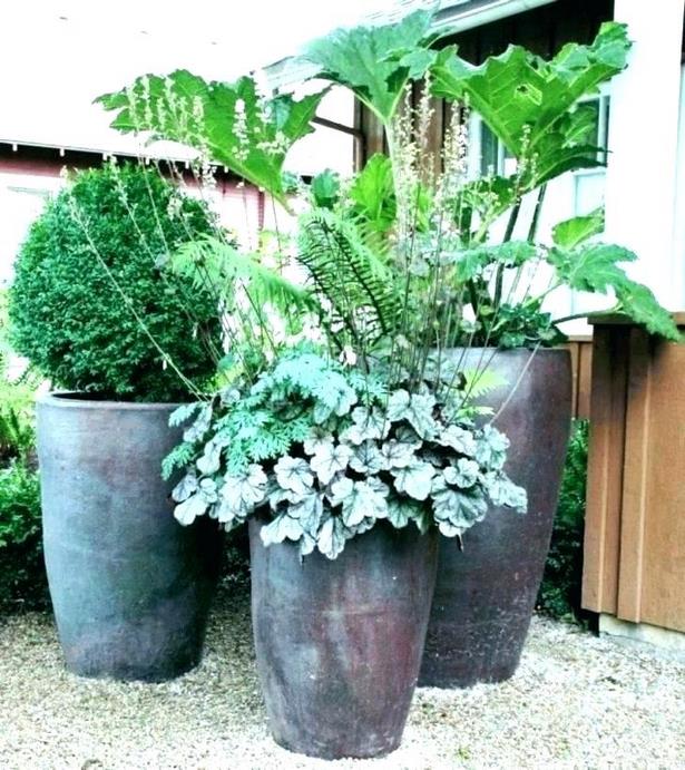 large-outdoor-planter-arrangements-59_9 Големи външни плантатори