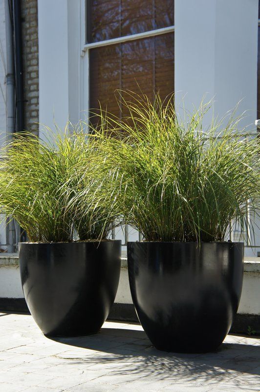 large-plant-pots-74 Големи саксии за растения