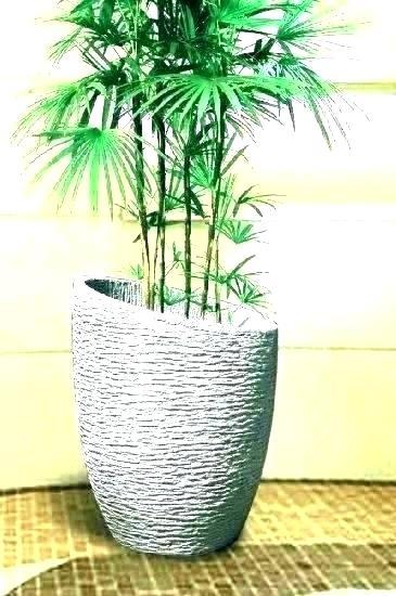 large-plant-pots-74_17 Големи саксии за растения