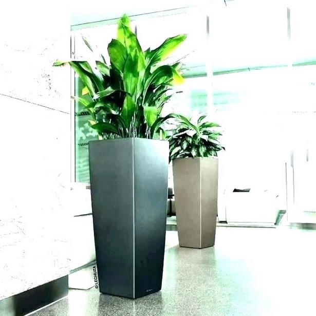 large-plant-pots-74_3 Големи саксии за растения