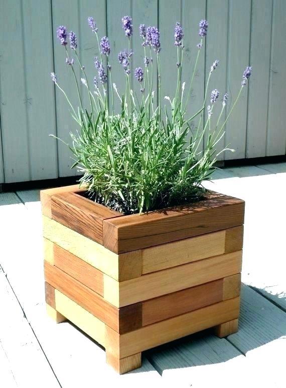 large-planter-box-plant-ideas-31_10 Големи плантатор кутия растителни идеи