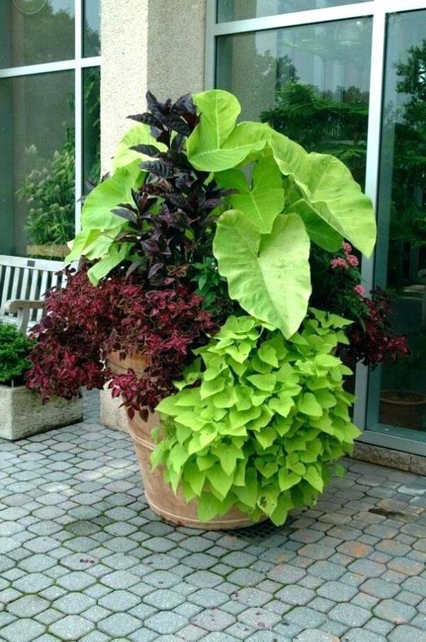 large-planter-box-plant-ideas-31_14 Големи плантатор кутия растителни идеи