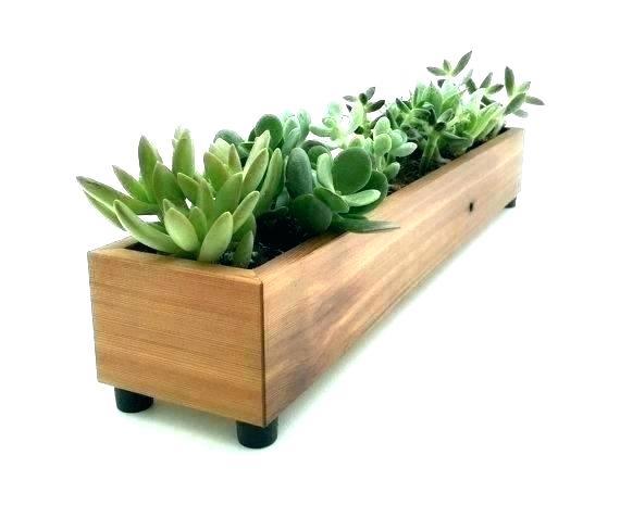 large-planter-box-plant-ideas-31_15 Големи плантатор кутия растителни идеи