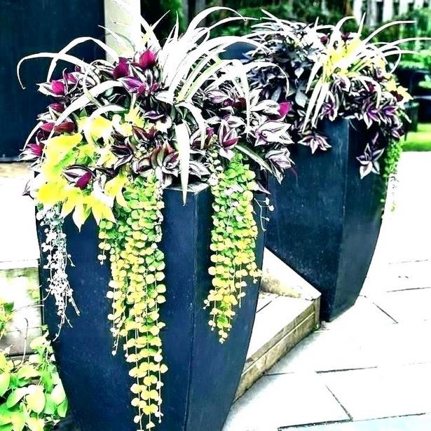 large-planter-flower-arrangements-56_3 Големи плантаторски цветни аранжировки