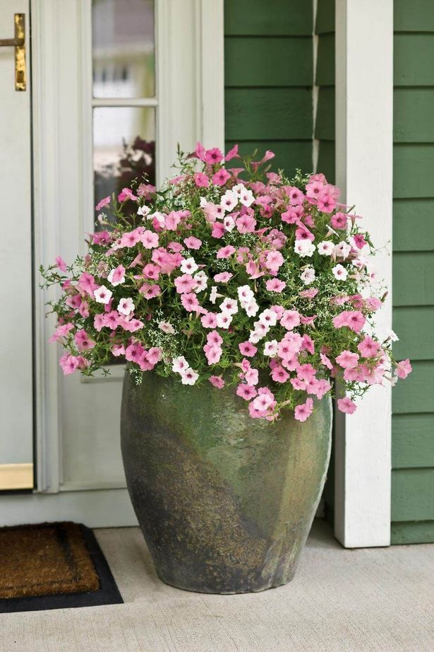 large-planter-flower-arrangements-56_6 Големи плантаторски цветни аранжировки