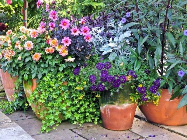 large-planter-flower-arrangements-56_7 Големи плантаторски цветни аранжировки