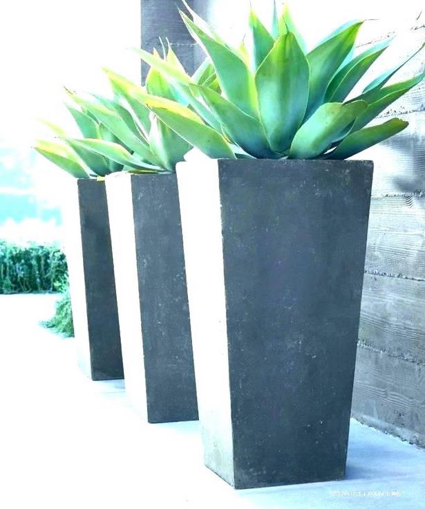 large-pot-plant-ideas-84_5 Големи саксии растителни идеи