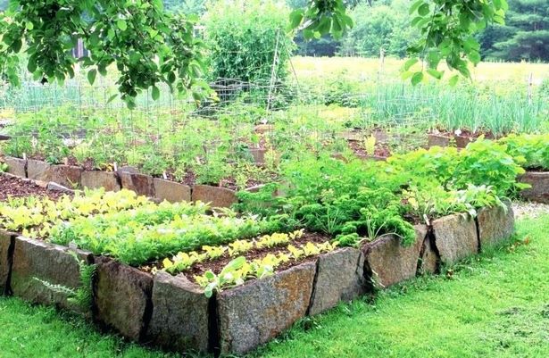 large-raised-garden-beds-54_2 Големи повдигнати градински легла