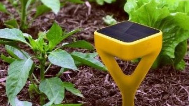 latest-garden-gadgets-99_9 Най-новите градински джаджи