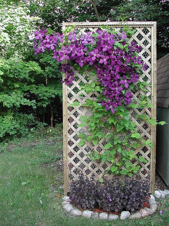 lattice-ideas-for-the-garden-61_3 Решетъчни идеи за градината